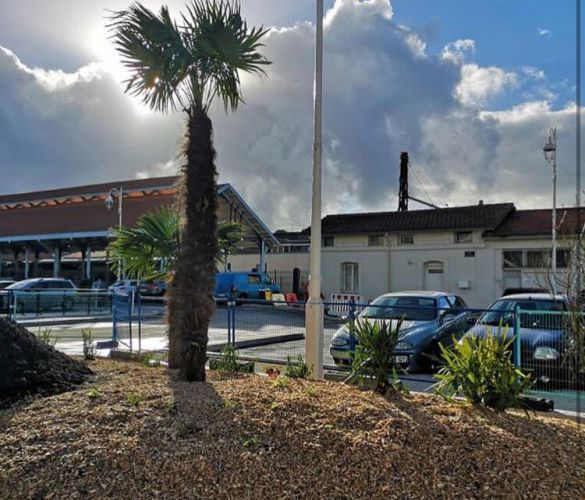 Les travaux avancent dans les jardins de la gare, futur poumon vert du centre-ville arcachonnais par David Paysages