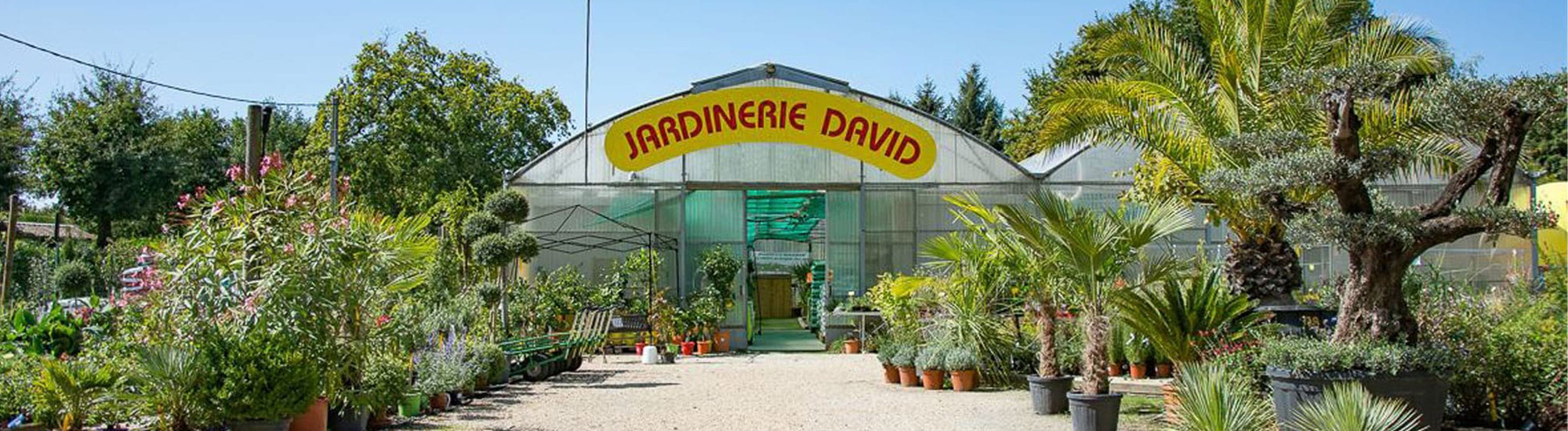 Décoration de jardin à La Teste-de-Buch (Gironde 33) et Bassin d