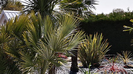 Plantation de jardin à La Teste-de-Buch (Gironde 33) et Bassin d'Arcachon